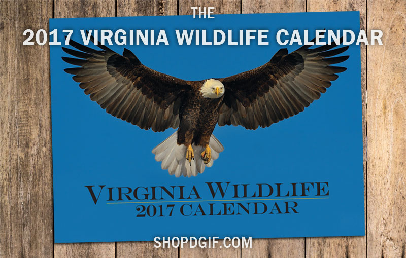 Ricky Simpson 拍摄的2017 DWR 日历封面图片