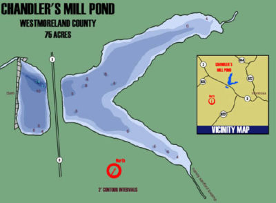 钱德勒磨坊池塘