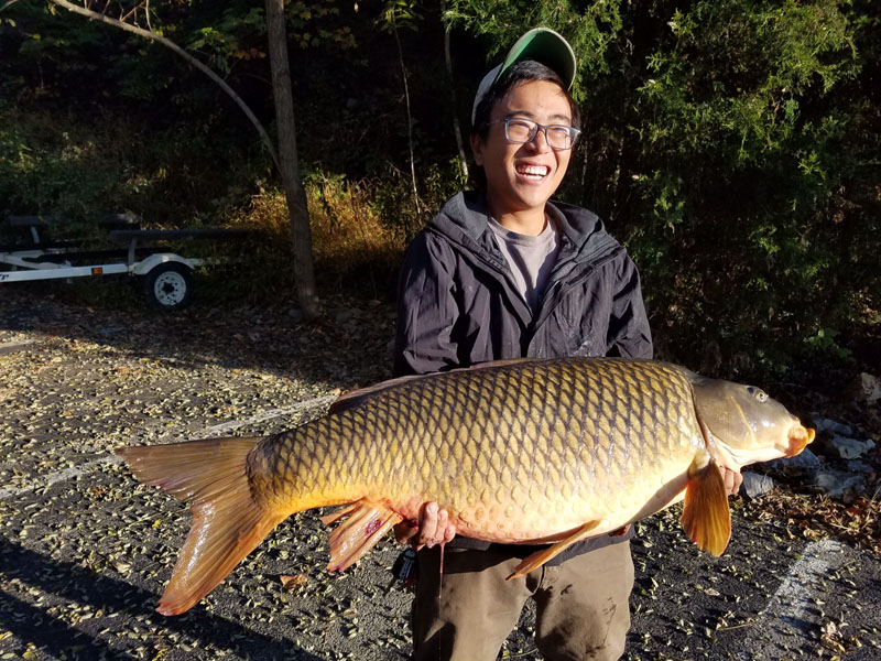 一名男子抱着一条重达45磅的大鲤鱼；这是一条州纪录鱼。