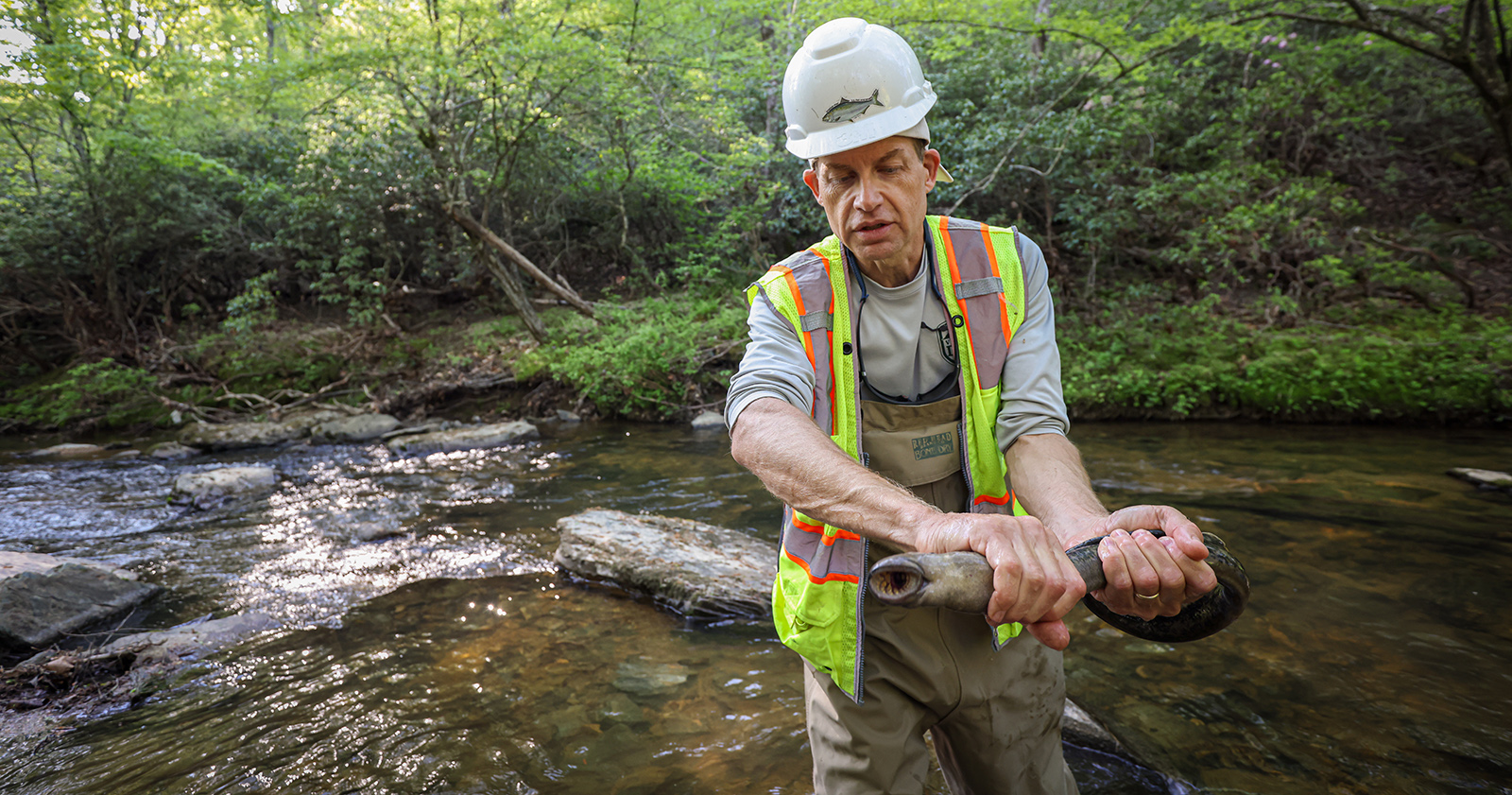 一张男子在河前抱着一条七鳃鳗的照片。