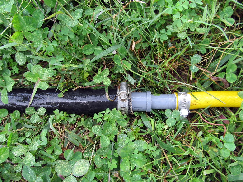 草地上的洒水器图像