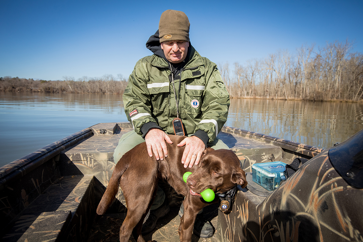 当 K 9成功完成嗅探工作后，他们会得到玩耍的奖励，就像他们平常搜索文章一样。