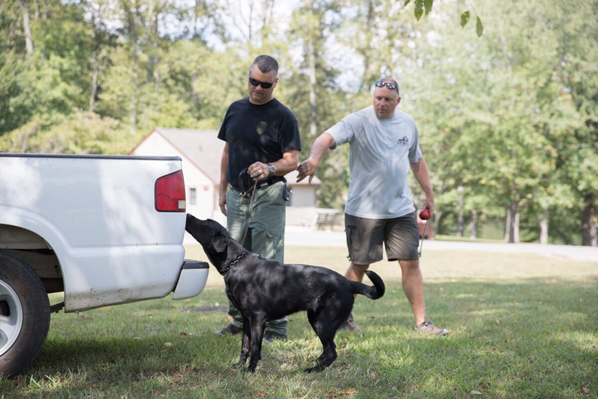 警官 Mark VanDyke 和 K 9 Avery 正在工作。