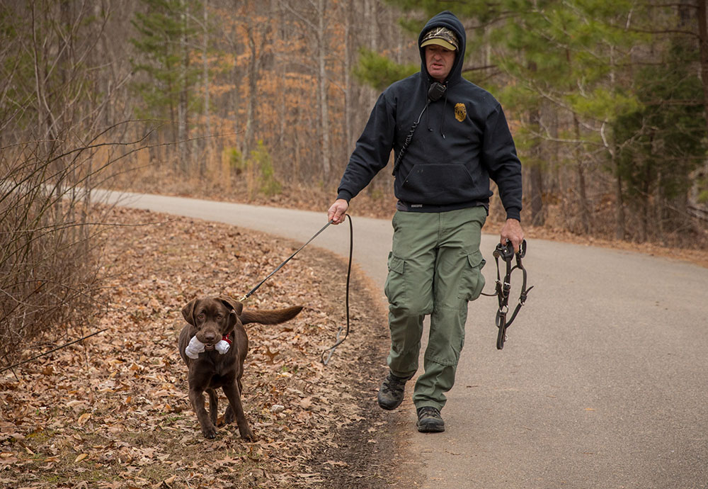 完成训练后,莫莉拿着玩具绳的照片