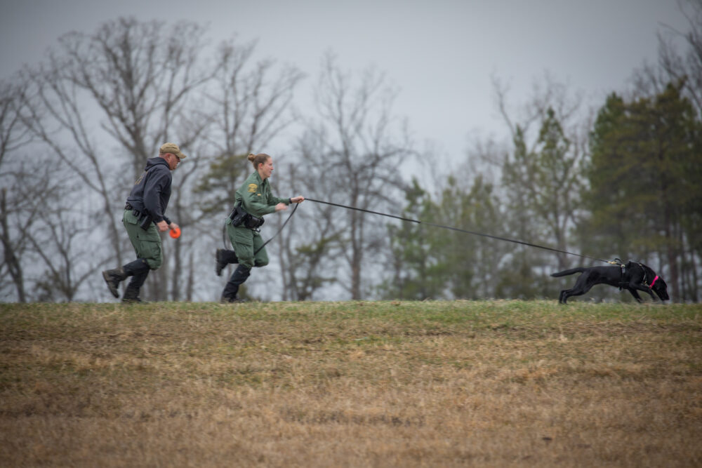 CPO Bonnie Braziel（中）与 K 9 Grace 一起接受培训，由高级 CPO Richard Howald 监督。