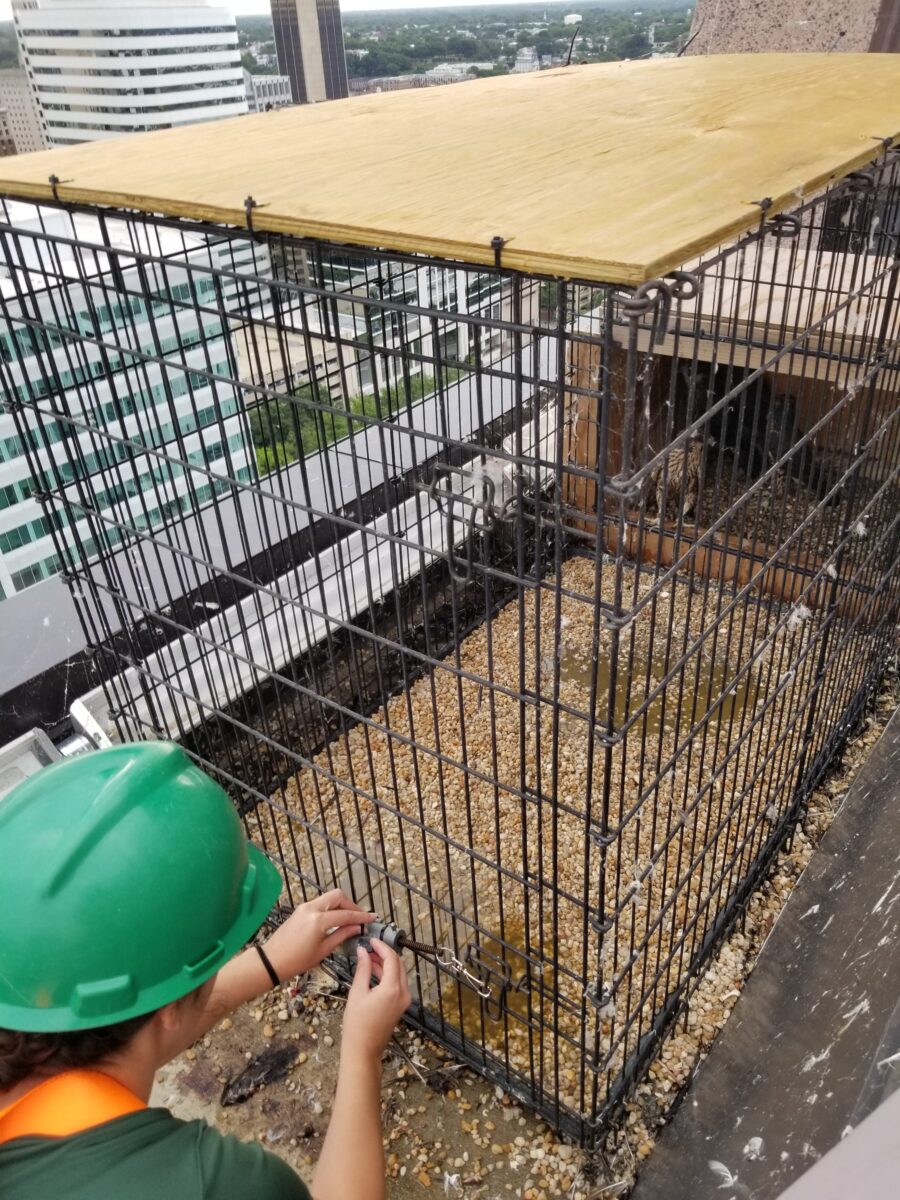 DWR 工作人员正在对围栏门遥控装置进行故障排除