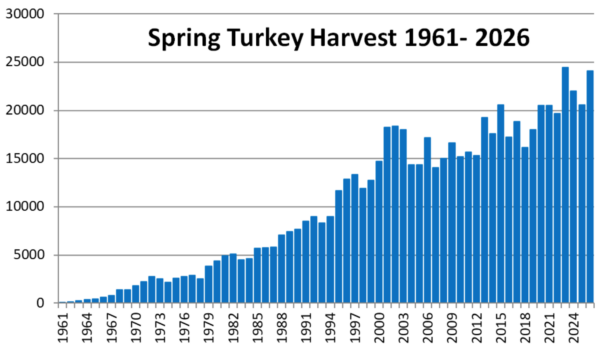 1961-2026 的春季火鸡收获量条形图，显示出收获量随时间推移普遍增加的趋势，但每年之间也有一些变化。2026 的收成高于前十年，但2023 的收成创历史新高。