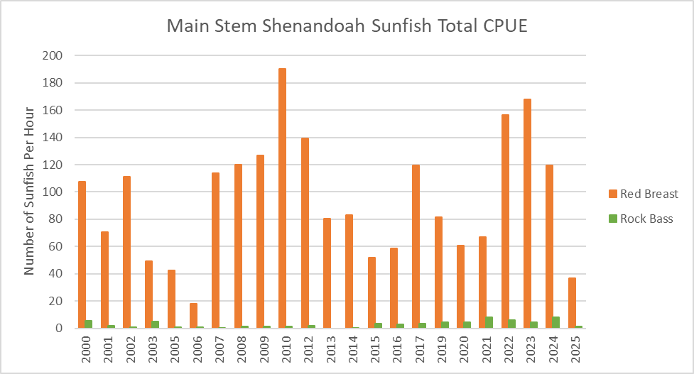 按年份划分的 Main Stem Shenandoah River 太阳鱼单位捕捞量的柱状图。