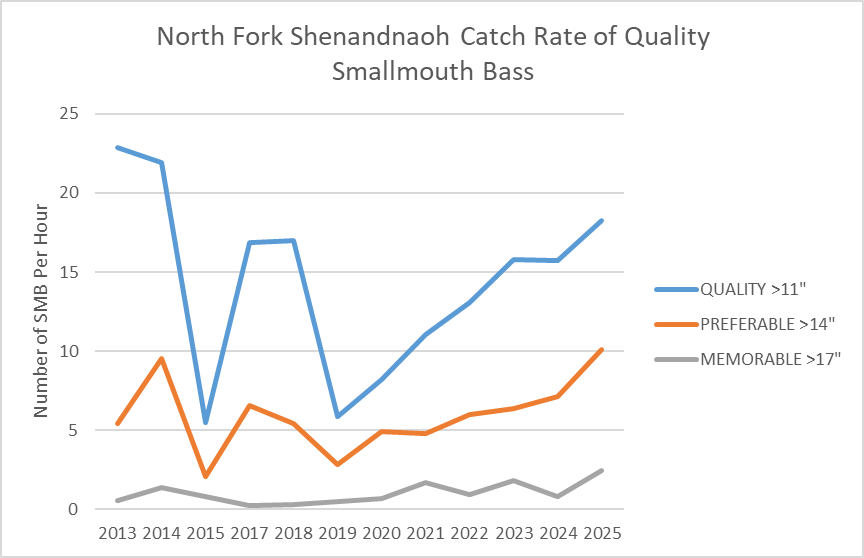 按年份绘制的北福克Shenandoah河优质小嘴鲈鱼捕获率折线图。