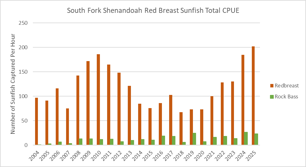 南福克 Shenandoah 河红胸太阳鱼和岩鲈每年单位捕捞努力量总捕获量的柱状图。