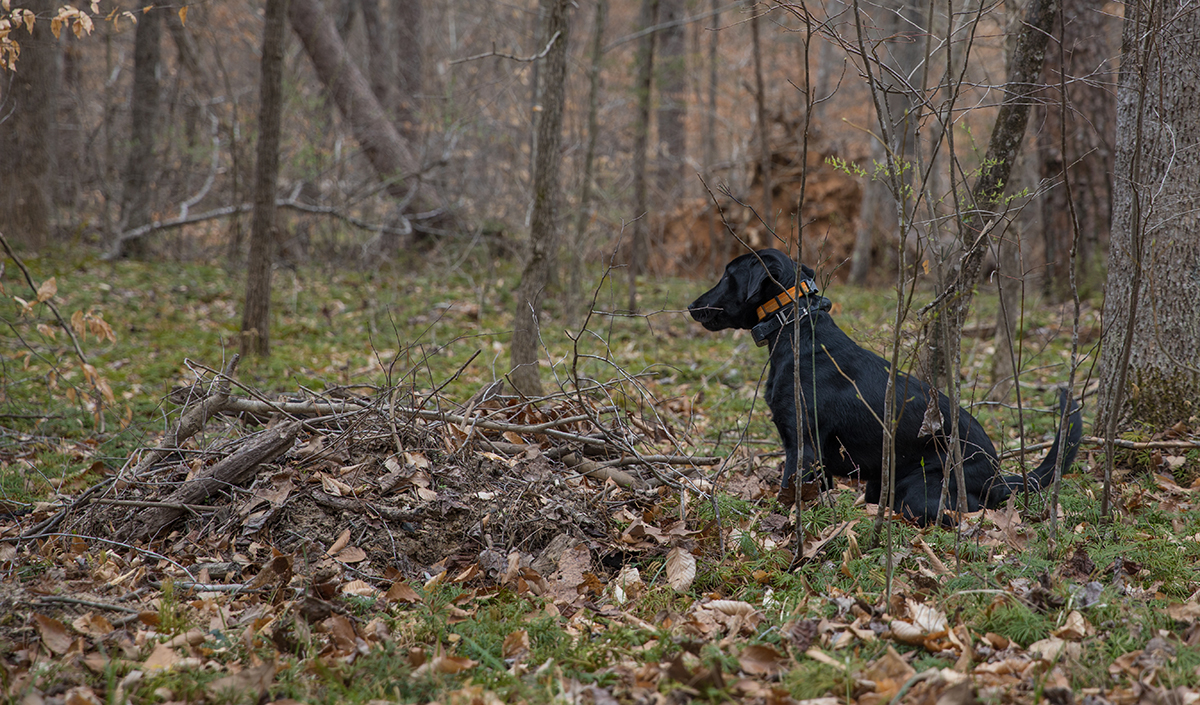 格蕾丝坐下提醒说她发现了一些东西。