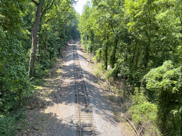 横跨火车轨道的桥梁可供人们在树梢上观鸟。在迁徙期间寻找莺鸟。照片来源：Lisa Mease