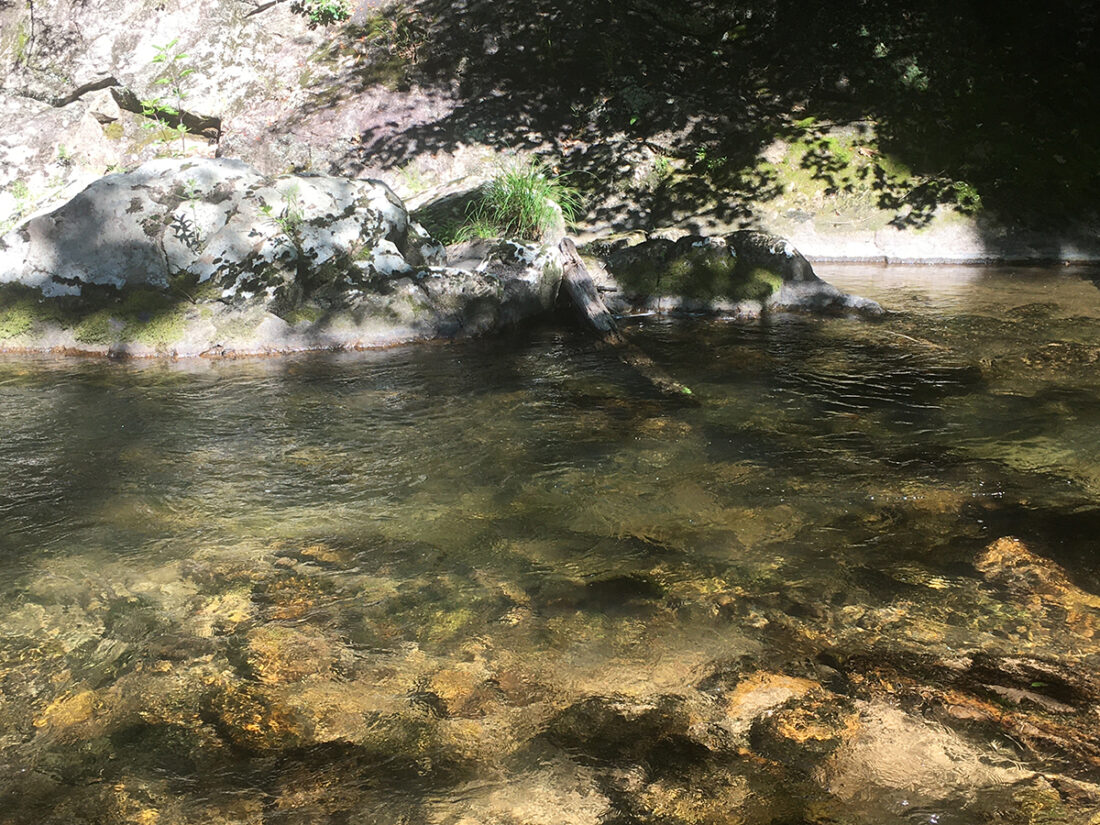 阳光洒满河面。