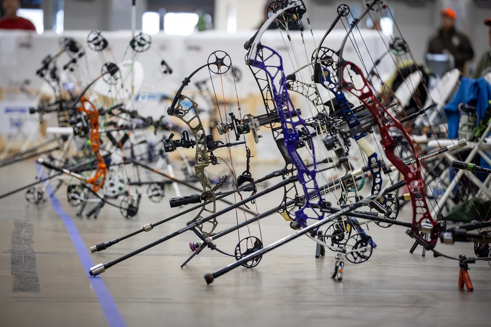 与此主题相关的图片