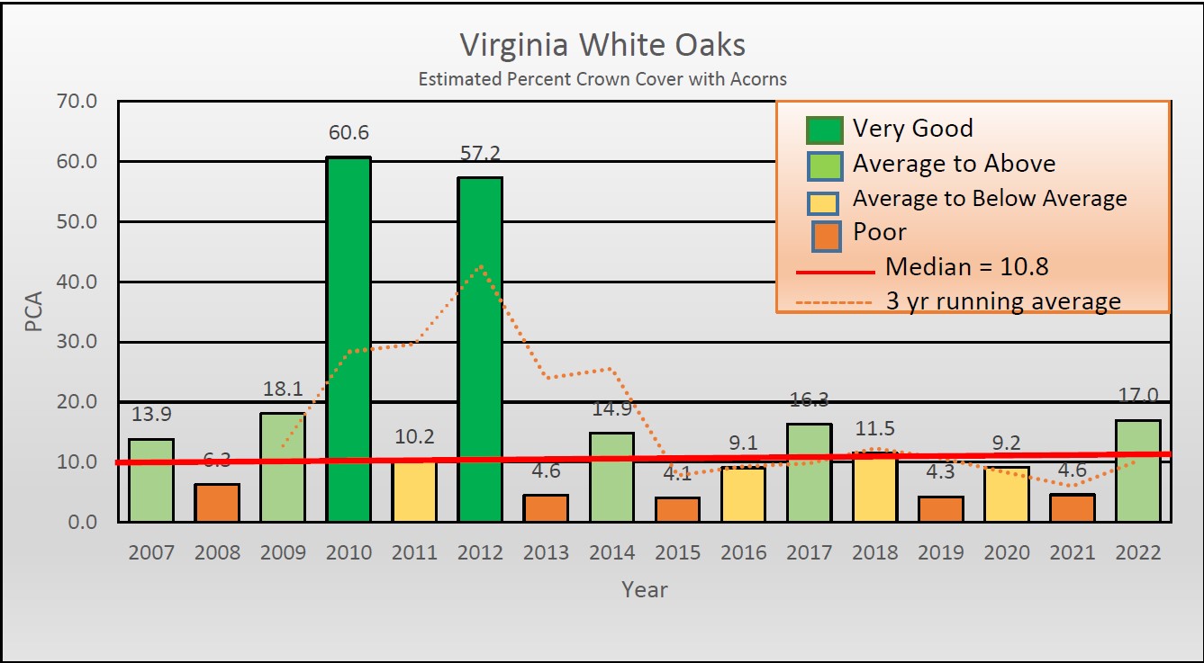全州白橡子产量按类别排名的图像显示,产量一直很低,但目前正在反弹