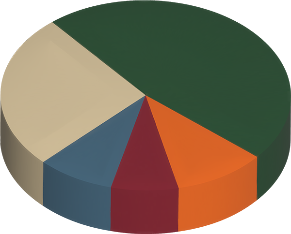 显示 DWR 资本项目类别的饼图