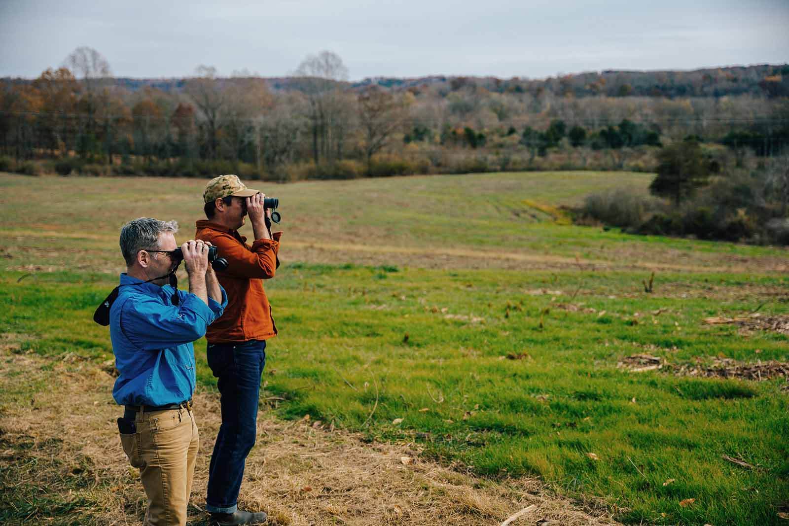 魔鬼骨干酿酒公司