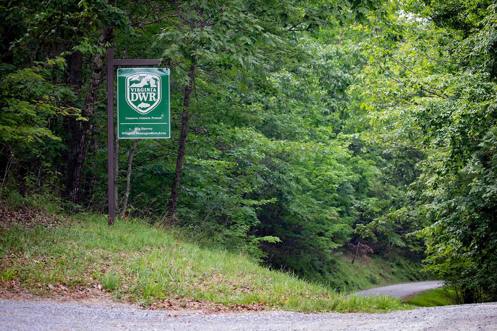 我们的资金来源和支出方式