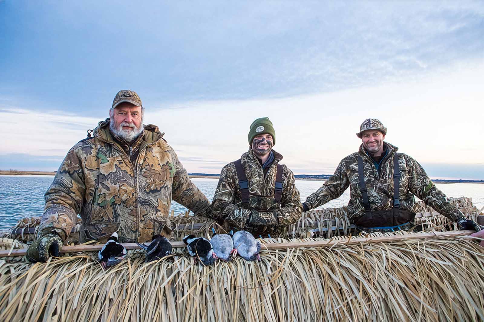 你能如何提供帮助