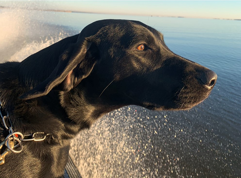 贝利乘船远眺地平线