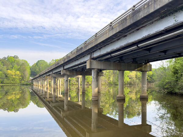 美国501桥是崖燕群的重要筑巢地