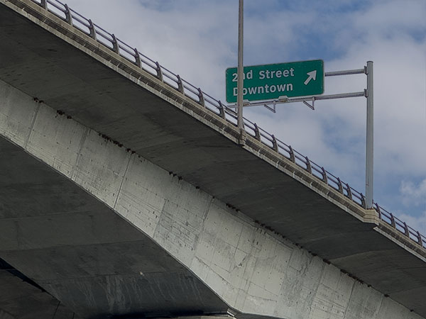 崖沙燕在李桥下筑巢。照片来源：Lisa Mease