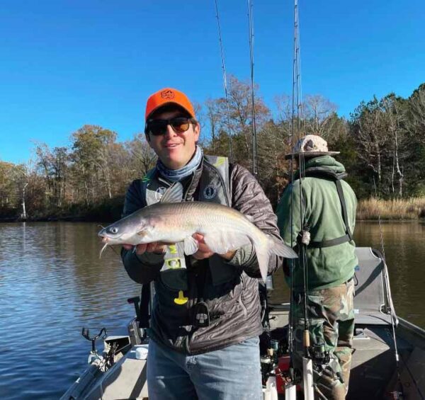 一名男子手里拿着一条蓝色鲶鱼的图片
