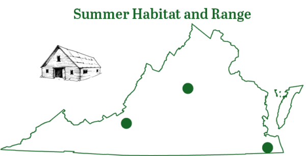 巴西自由尾蝙蝠分布图