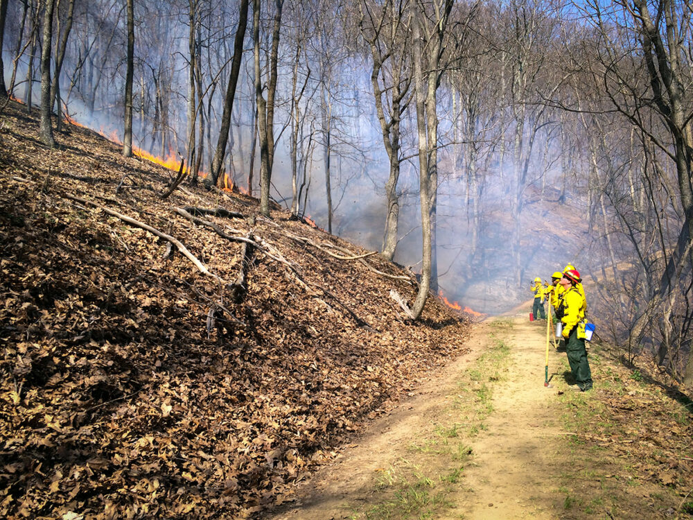 燃烧发生前建立的控制线图像