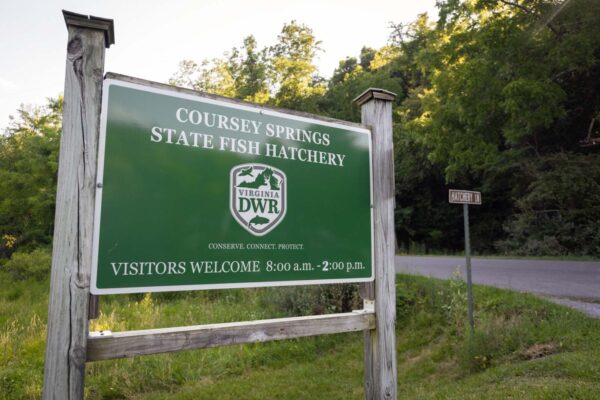 库尔西斯普林斯鱼类孵化场欢迎标志