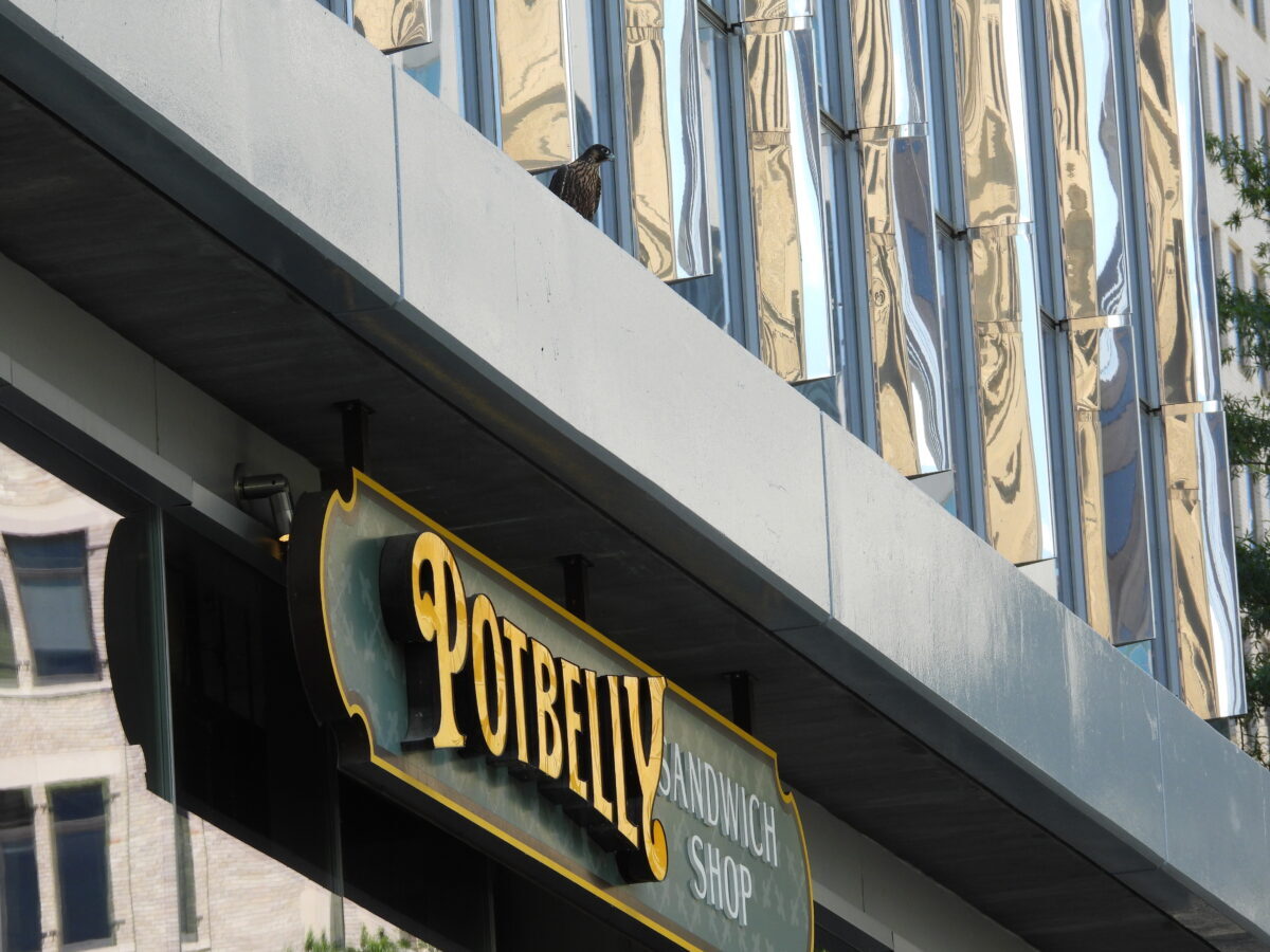 Towne Bank 大楼三明治店遭“橙色”攻击
