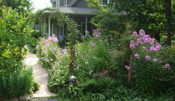 为吸引野生动物而种植的多层花园图片