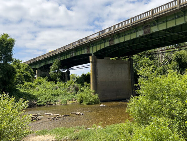 崖燕在法尔茅斯桥下筑巢。照片来源：Lisa Mease