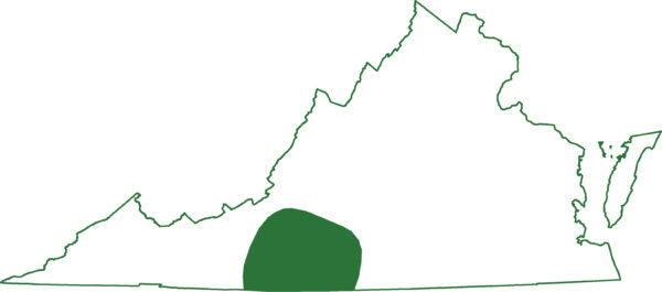 平头蝾螈仅分布在弗吉尼亚州中部的一个地区