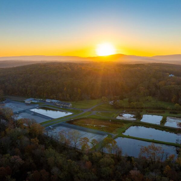 前皇家孵化场鸟瞰图