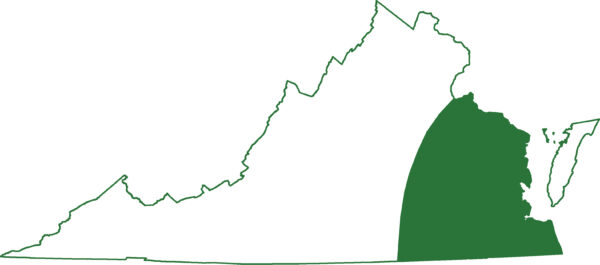 大塞壬遍布弗吉尼亚州沿海平原
