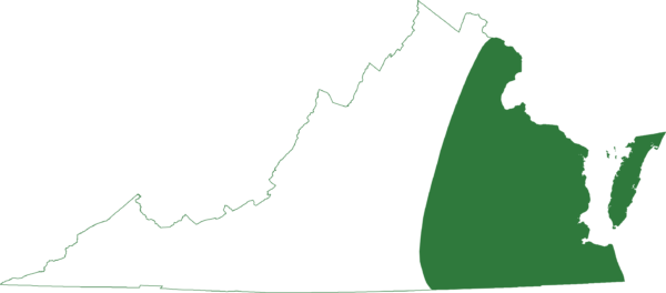 绿树蛙遍布该州东部地区，包括堰洲岛