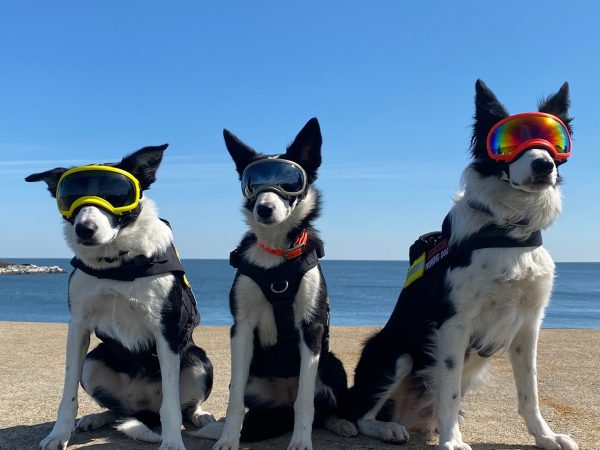 Flyaway Bett、Zoe 和 Hoop 都穿戴着安全装备。 