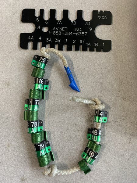 未使用的带子和腿部尺寸测量工具。雌性游隼佩戴尺寸7 A 的腕带,而雄性游隼佩戴尺寸为6腕带。
