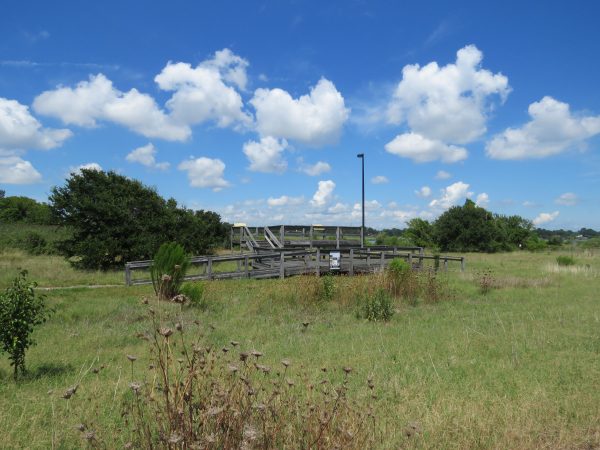 草地上为俯瞰米尔溪而建的木制野生动物观察台的图片