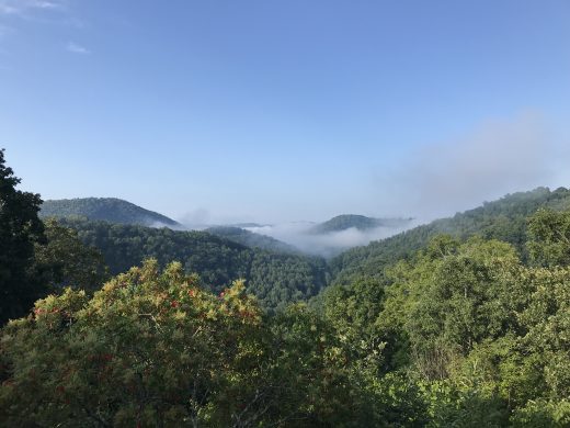 树木繁茂的山脉的图像