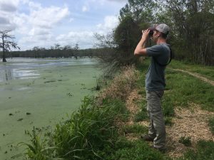 一个人用双筒望远镜眺望池塘