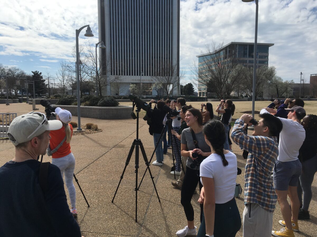里士满大学城市生态与进化课程和 DWR 生物学家正在监测猎鹰