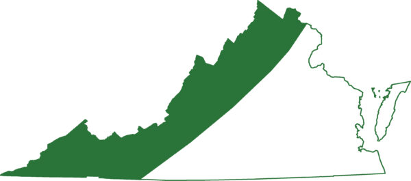 杰斐逊蝾螈遍布阿巴拉契亚山脉