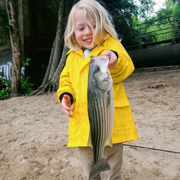 3第三名：Miles（年龄4 ）