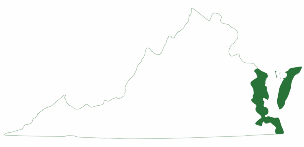 肯普里德利海龟仅分布于弗吉尼亚州东南部海岸