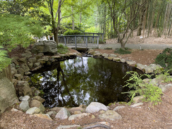 亚洲谷是一个安静的冥想空间。在竹林后面可以听到东部雀鸟的叫声。照片来源：Lisa Mease