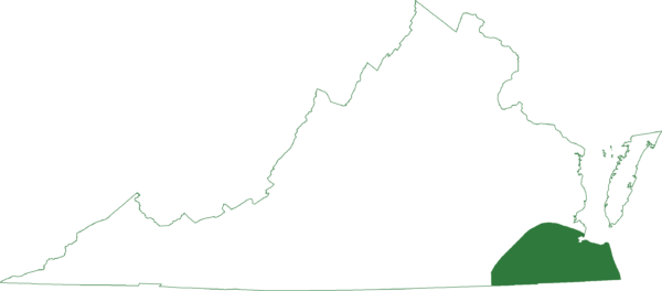 这种小草蛙生活在弗吉尼亚州东南部地区