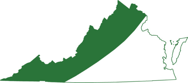 长尾蝾螈遍布弗吉尼亚州的山脉