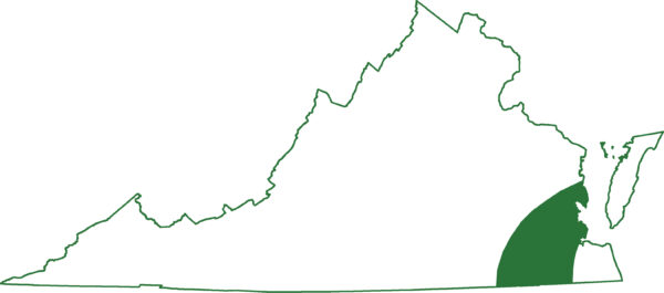 梅比蝾螈分布于弗吉尼亚州最南端的沿海平原地区